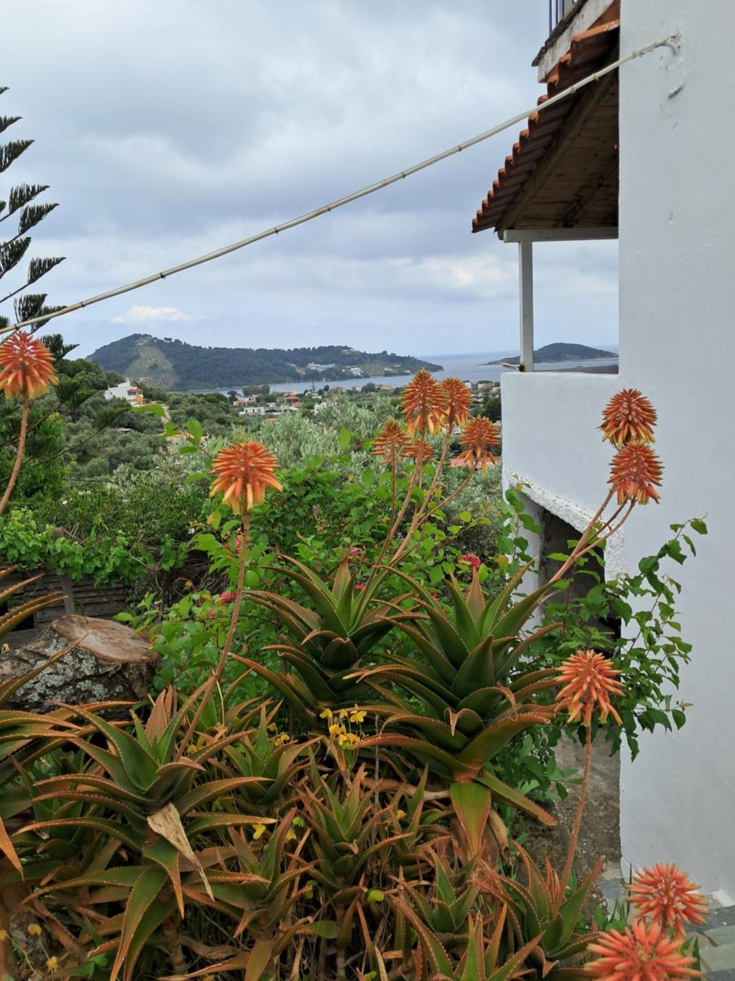 Camelia Studios Skiathos Town Luaran gambar